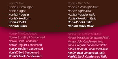 Nonia X Font Poster 5