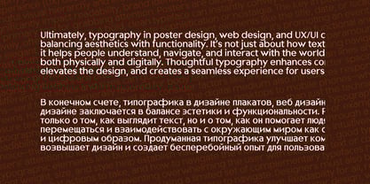 Nonia X Font Poster 8