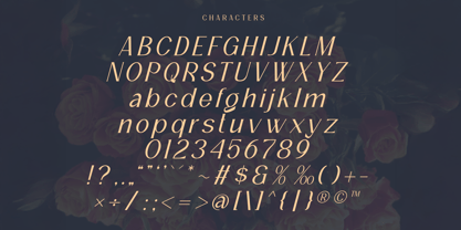 Rosgar Font Poster 3