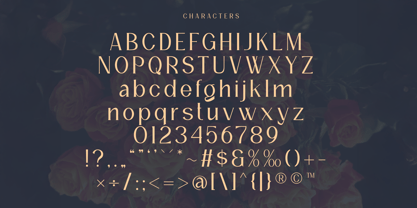 Rosgar Font Poster 2