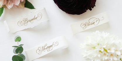 Dear Victoria Font Poster 4