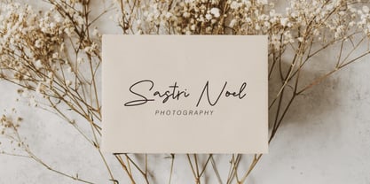 Alusiand Signature Font Poster 4