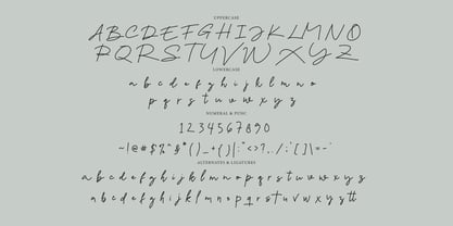 Alusiand Signature Font Poster 6