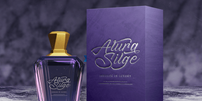 Sound Vinyls Font Poster 4