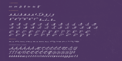 Sound Vinyls Font Poster 8