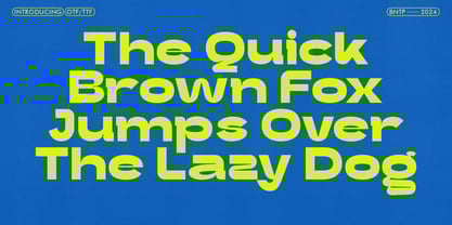 Diagno Grotesk Font Poster 6