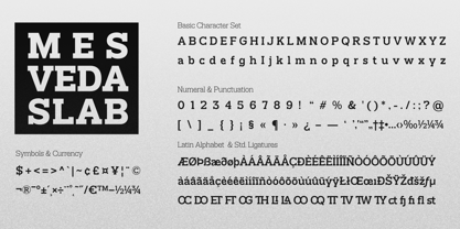 Mesveda Slab Font Poster 12