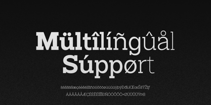 Mesveda Slab Font Poster 13