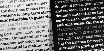 Mesveda Slab Font Poster 10