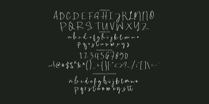 Mahire Signature Font Poster 6