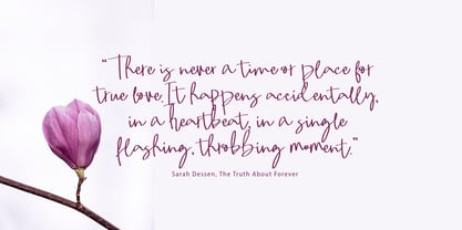 Mahire Signature Font Poster 4