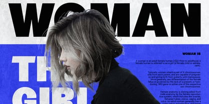 Riking Font Poster 8