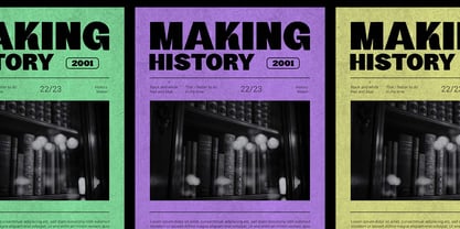 Riking Font Poster 4