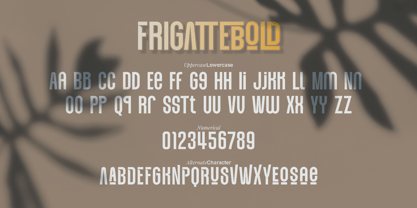 Frigattebold Font Poster 12