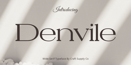 Denvile Font Poster 1