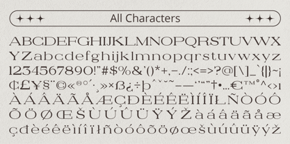 Denvile Font Poster 6