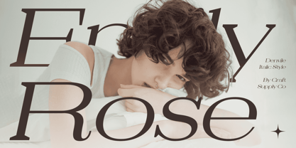 Denvile Font Poster 2