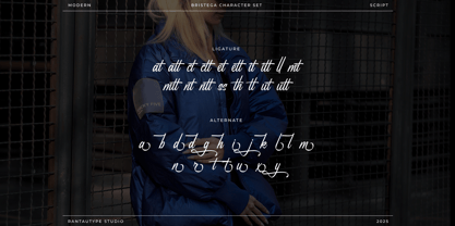 Bristega Font Poster 15