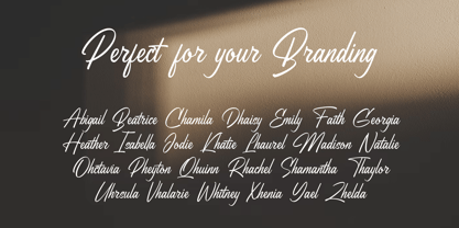 Bristega Font Poster 12