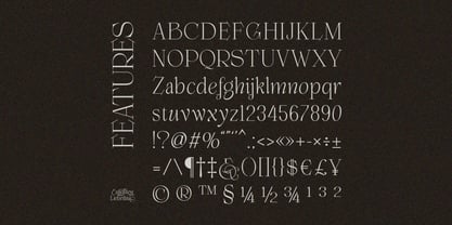 Enlighten Liebethia Pro Font Poster 4