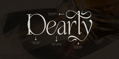 Enlighten Liebethia Pro Font Poster 5