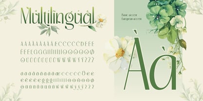 Rolyna Font Poster 11
