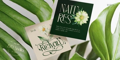 Rolyna Font Poster 10