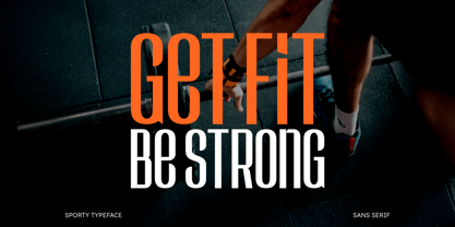 Metazora Font Poster 8