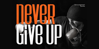 Metazora Font Poster 7