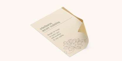 Asvata Font Poster 11