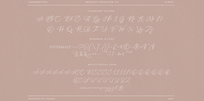 Bristeny Font Poster 13