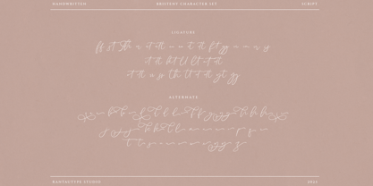 Bristeny Font Poster 14