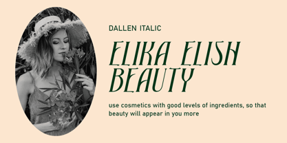 Dallen Font Poster 2