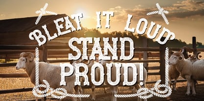 Ram Ranch Font Poster 2