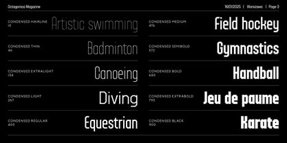 Octagonica Font Poster 3