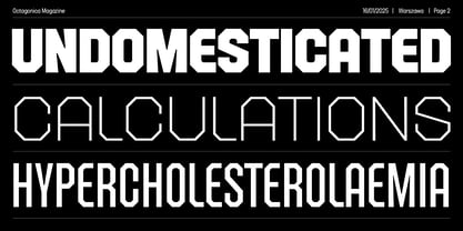 Octagonica Font Poster 2