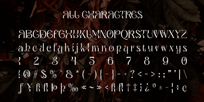 Qaila Font Poster 6