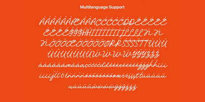 Nahzle Font Poster 10