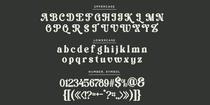 Vilmely Story Font Poster 11