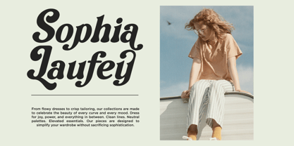 Vilmely Story Font Poster 3