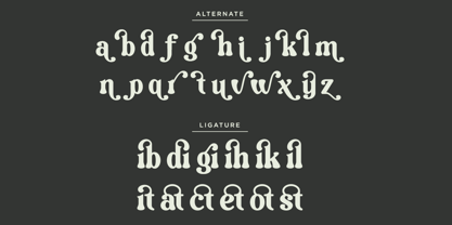 Vilmely Story Font Poster 12