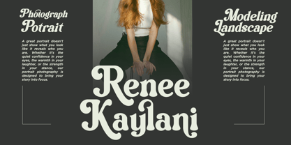 Vilmely Story Font Poster 5