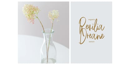 Bolinda Signature Font Poster 5