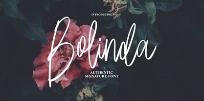 Bolinda Signature Font Poster 1