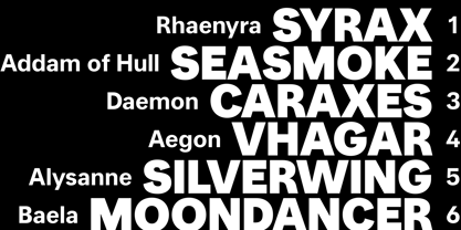 UNCMMN Directas Font Poster 5