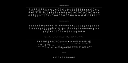 UNCMMN Directas Font Poster 14