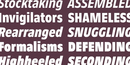 Faculty Font Poster 6