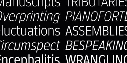Faculty Font Poster 8