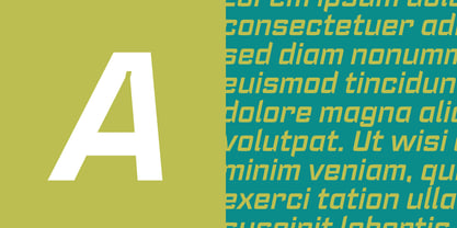 Register Font Poster 4