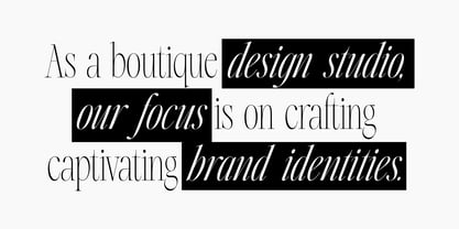 Silver Point Font Poster 13